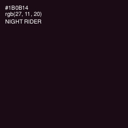 #1B0B14 - Night Rider Color Image